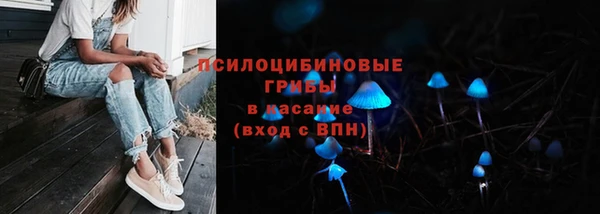 spice Белокуриха