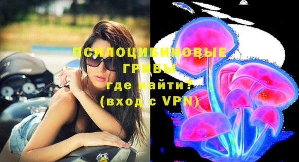 spice Белокуриха