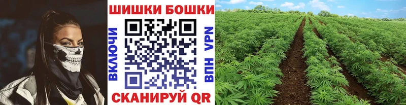 где продают наркотики  Красавино  Бошки марихуана план 